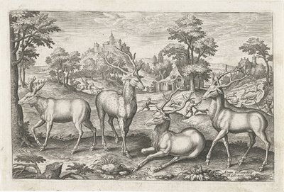 Deer by Adriaen Collaert