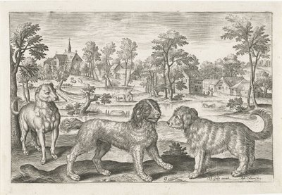 Dogs by Adriaen Collaert