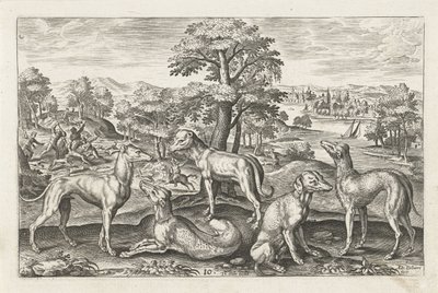 Hunting Dogs by Adriaen Collaert