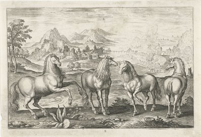 Horses (series title: Four-legged Animals, Animalivm Qvaddrvpedvm) by Adriaen Collaert