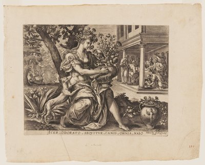 Smell, from The Five Senses by Adriaen Collaert