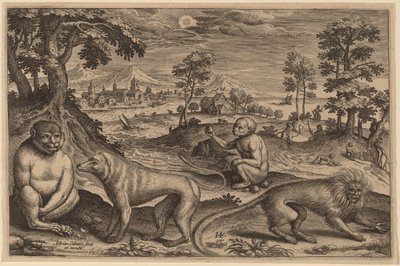 Two Apes and Two Monkeys by Adriaen Collaert