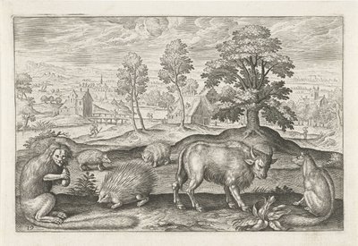 Various Animals by Adriaen Collaert