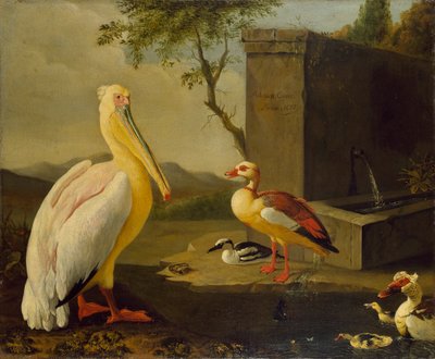 Oriental Birds, 1683 by Adrian Coorte
