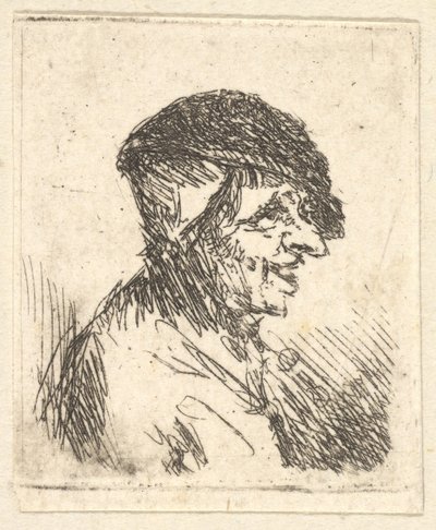 Head of Peasant, 17th century by Adriaen Jansz. van Ostade