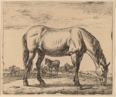 Grazing Horse by Adriaen van de Velde