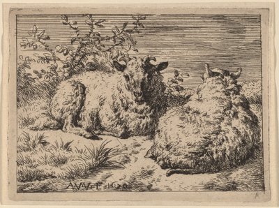 Two Recumbent Sheep by Adriaen van de Velde