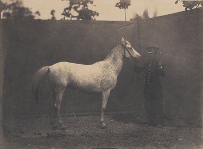 Pascaline by Adrien Alban Tournachon
