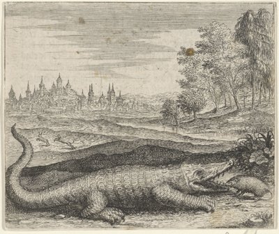 Fable of the Crocodile and Mongoose by Egidius  Sadeler (II)
