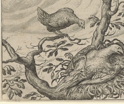 Fable of the Sick Vulture by Egidius  Sadeler (II)