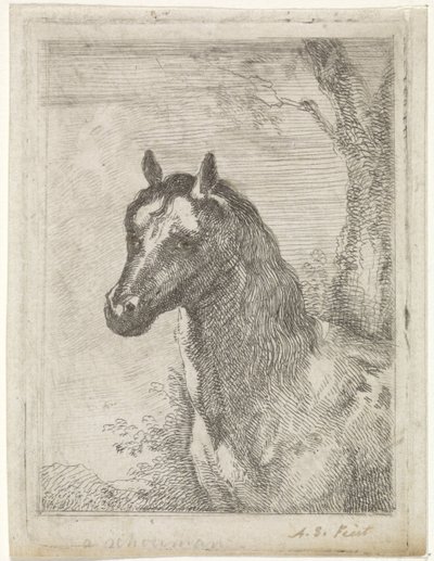 Horse head by Aert Schouman (signed by artist)