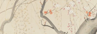 Flowers of the Four Seasons by after Sakai Hōitsu