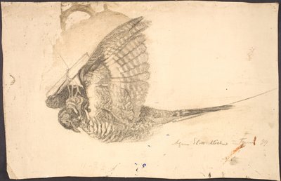 Study of a Dead Bird by Agnes Slott Møller