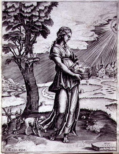 The Cumaean Sibyl by Agostino Musi