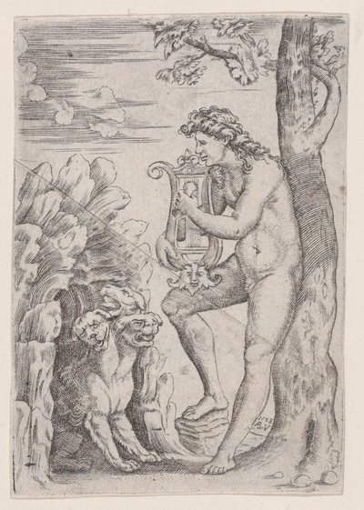 Orpheus by Agostino Veneziano