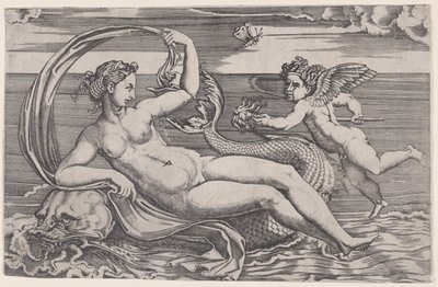Venus Reclining on a Dolphin by Agostino Veneziano
