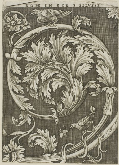 Foliage Ornament from Ancient Roman Church by Agostino dei Musi