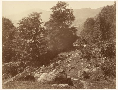 The Valley of Lys (Gust of Wind) by Aimé Civiale