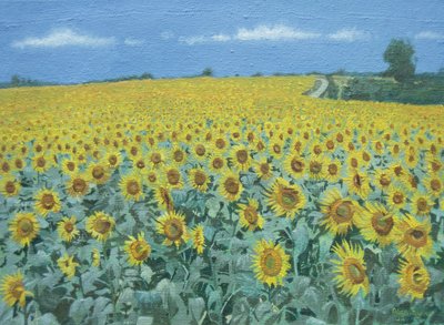Field of Sunflowers, 2002 by Alan Byrne