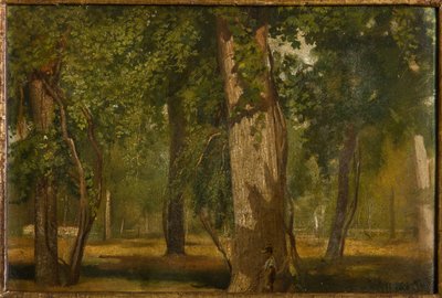 The Wood by Albano Lugli Carpi