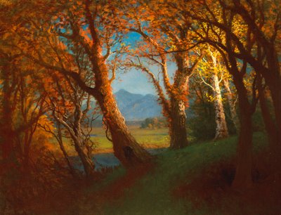 Sunset in the Nebraska Territory by Albert Bierstadt