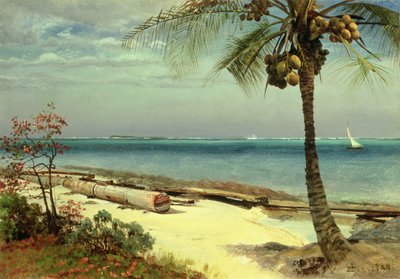 Unknown Image by Albert Bierstadt