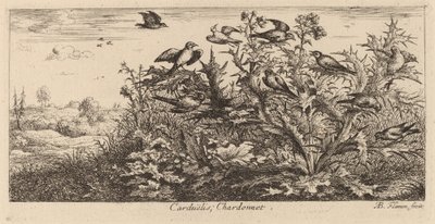 Carduelis, The Goldfinch by Albert Flamen