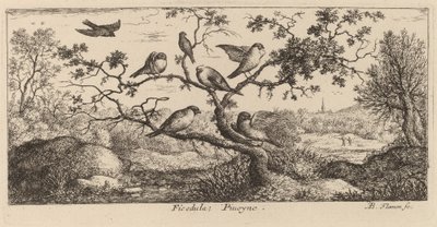 Ficedula, The Bullfinch by Albert Flamen