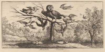 Monedula, The Owl by Albert Flamen