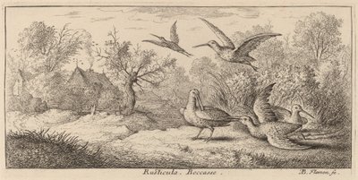 Rusticula, The Woodcock by Albert Flamen