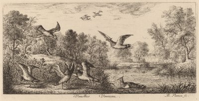 Vanellus, The Lapwing by Albert Flamen