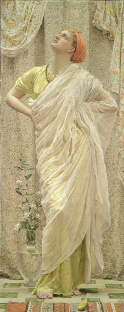 Birds by Albert Joseph Moore