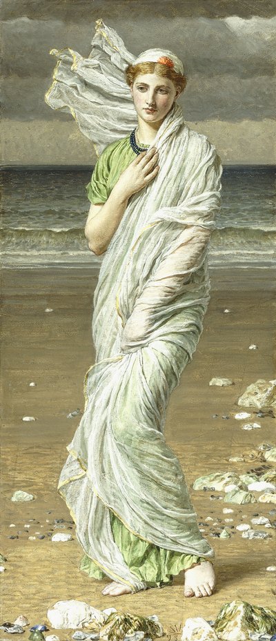 Sea Shells by Albert Joseph Moore