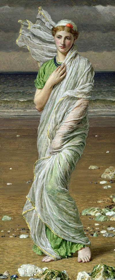 Seashells by Albert Joseph Moore