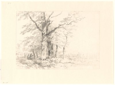 Study of Oaks in a Landscape by Albertus Brondgeest