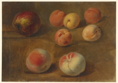 Still Life with Apple, Peaches, and Apricots by Albertus Steenbergen