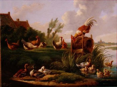 Ducks and Fowl on a Riverbank by Albertus Verhoesen