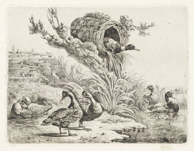 Ducks by a Waterside by Albertus Verhoesen