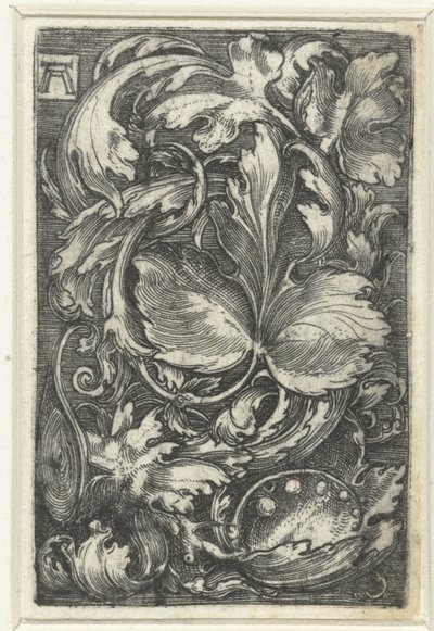 Ornament with Foliage by Albrecht Altdorfer