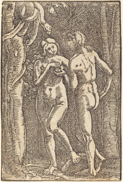 The Fall of Man by Albrecht Altdorfer