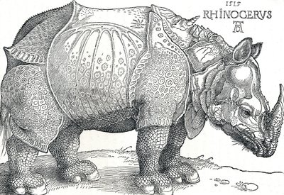 A Rhinoceros by Albrecht Dürer