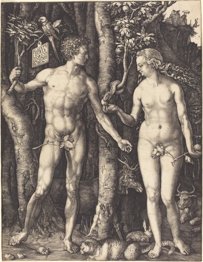 Adam and Eve by Albrecht Dürer