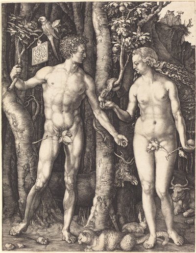 Adam and Eve by Albrecht Dürer