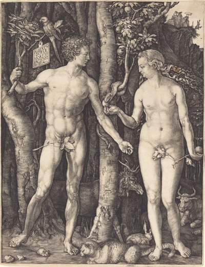 Adam and Eve by Albrecht Dürer