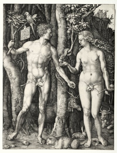 Adam and Eve by Albrecht Dürer