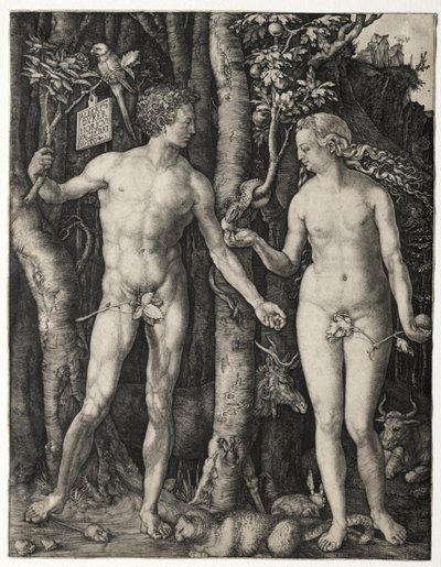 Adam and Eve by Albrecht Dürer