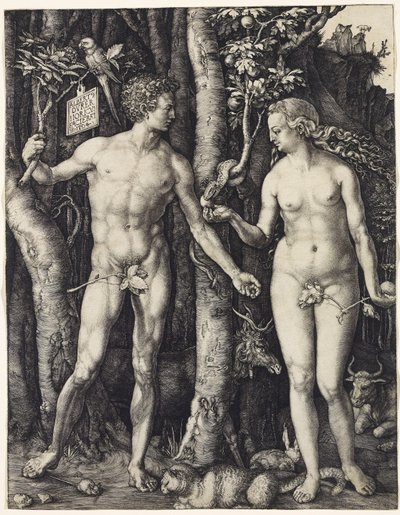 Adam and Eve by Albrecht Dürer