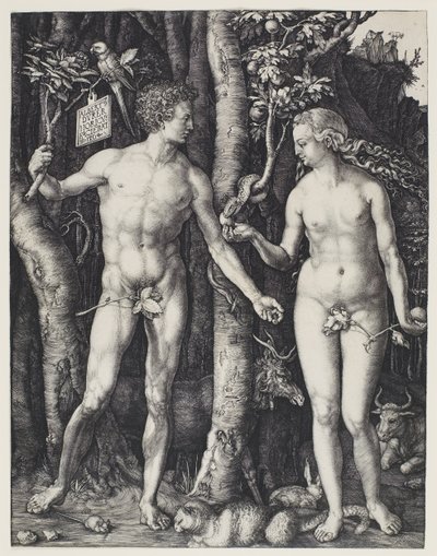 Adam and Eve by Albrecht Dürer