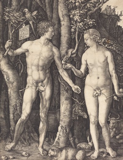 Adam and Eve by Albrecht Dürer