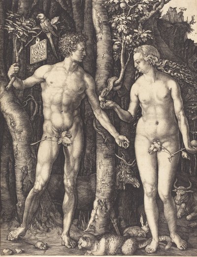 Adam and Eve, 1504 by Albrecht Dürer